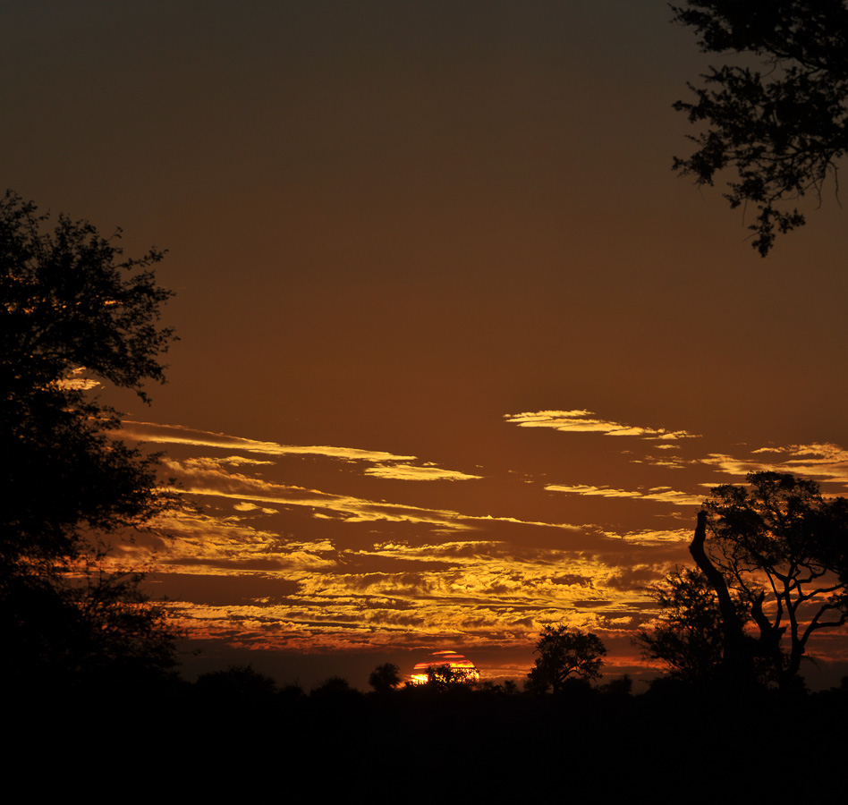 Kruger National Park [280 mm, 1/3200 sec at f / 10, ISO 400]